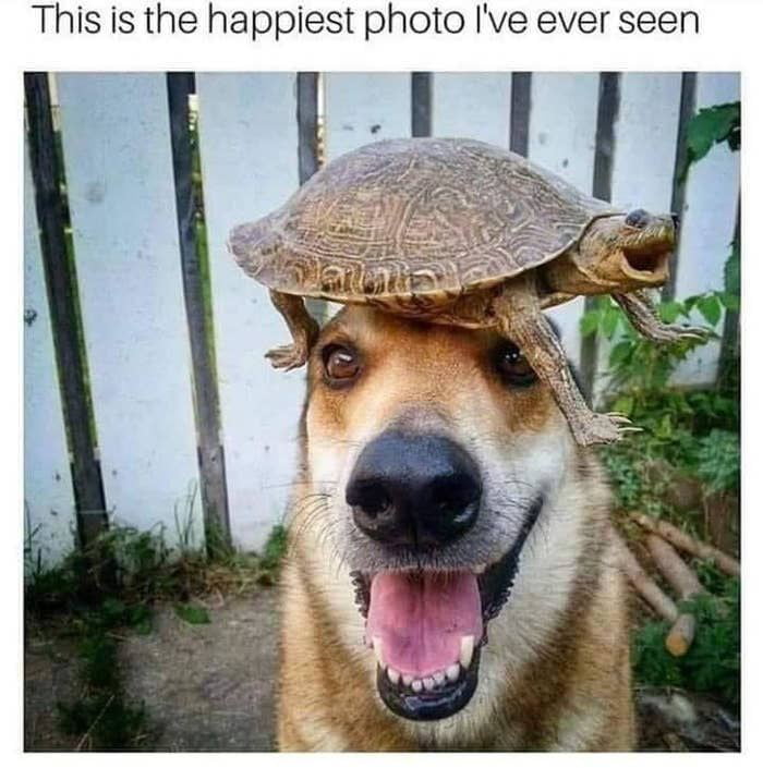 Made me smile