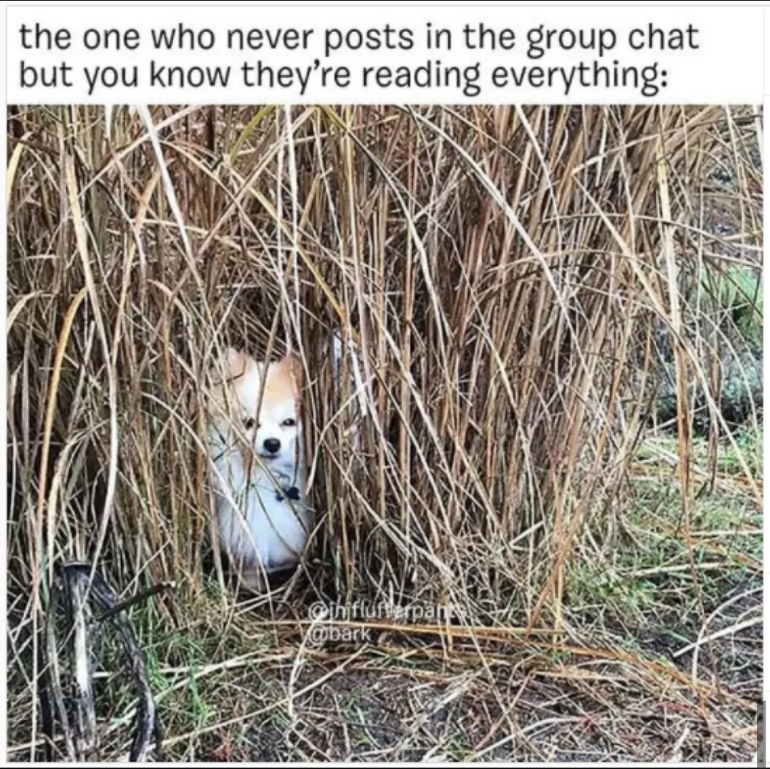 Me in a group chat
