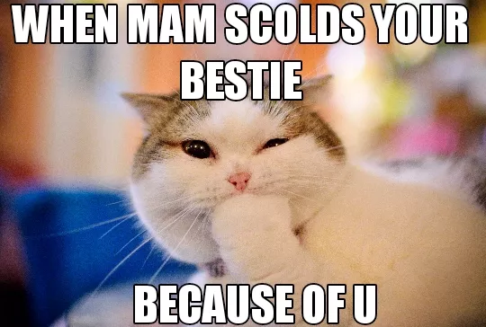 Meme