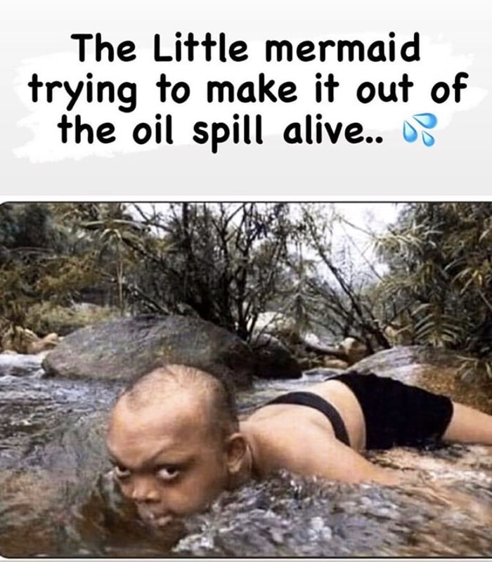 Mermaids in Mauritius right now