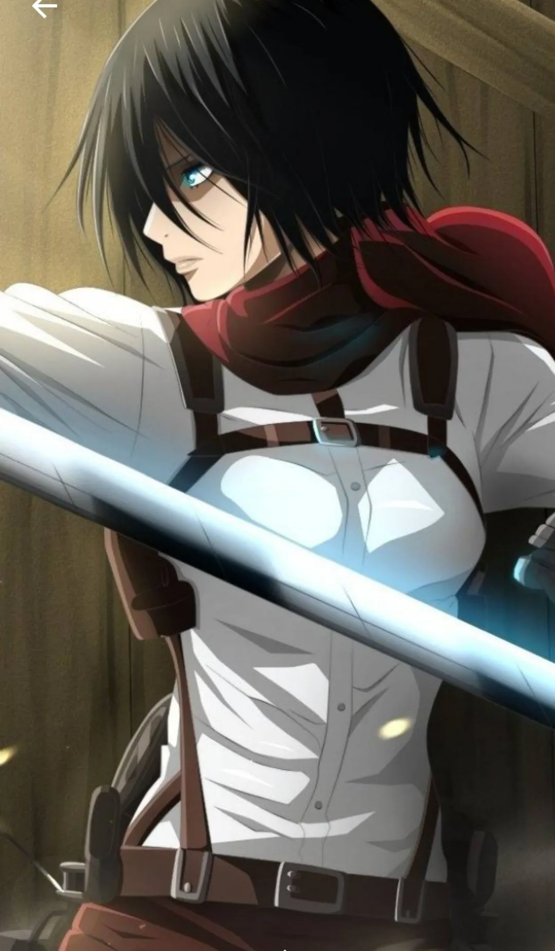 Mikasa 19 years