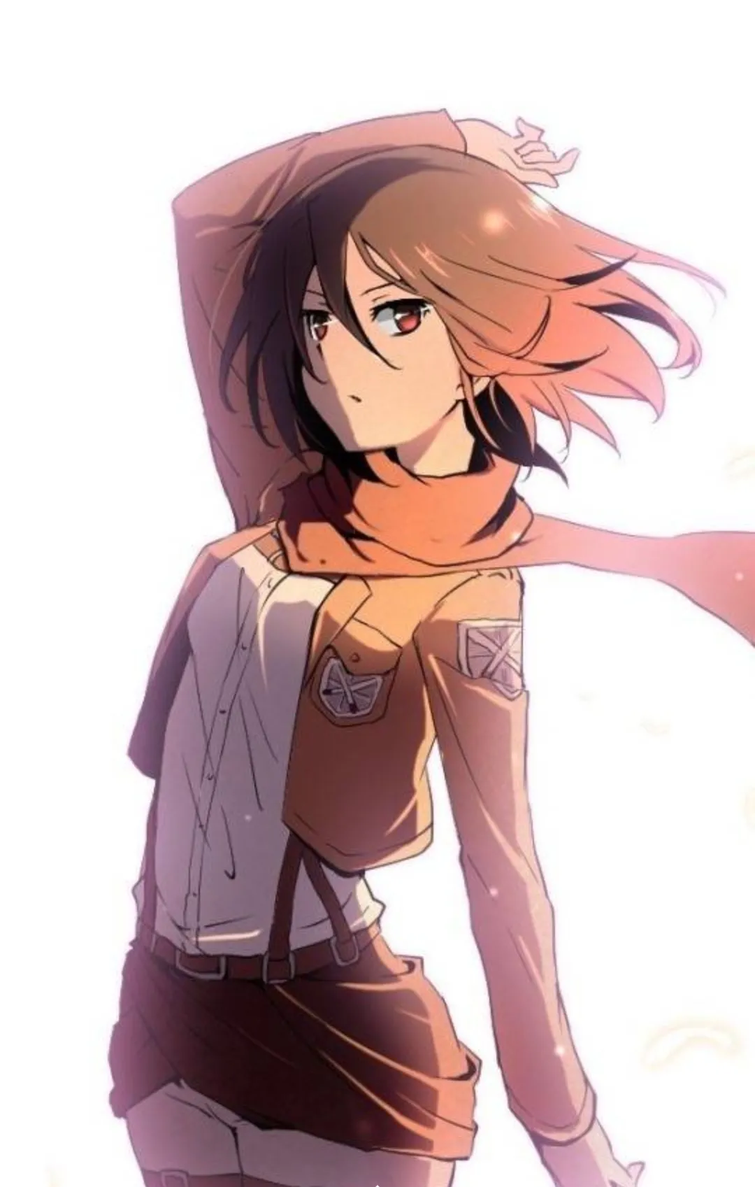 Mikasa fanart