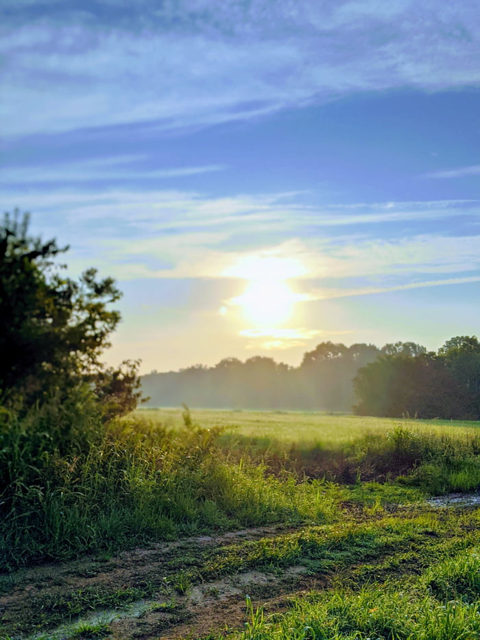 Morning in Georgia.