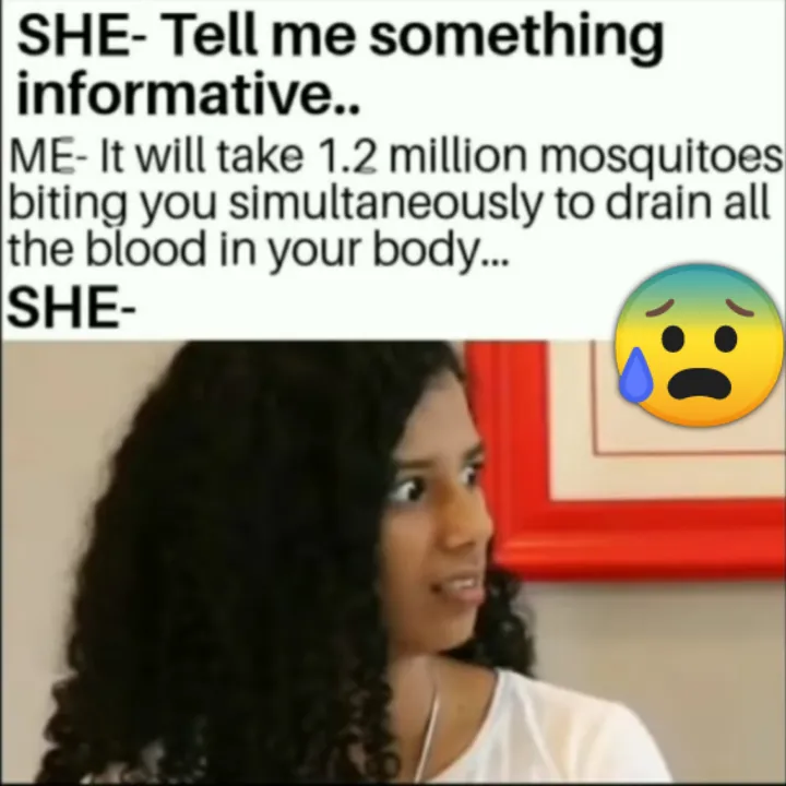 Mosquito 🦟🦟