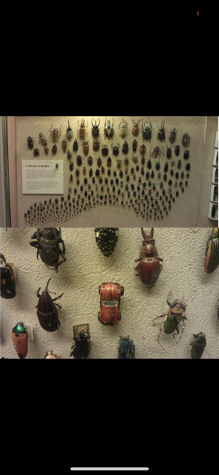 Museum has a sense of humour...