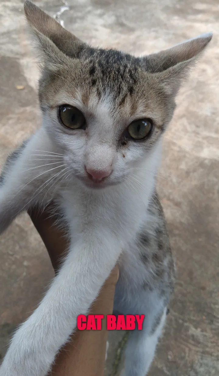 My fav pet😘
