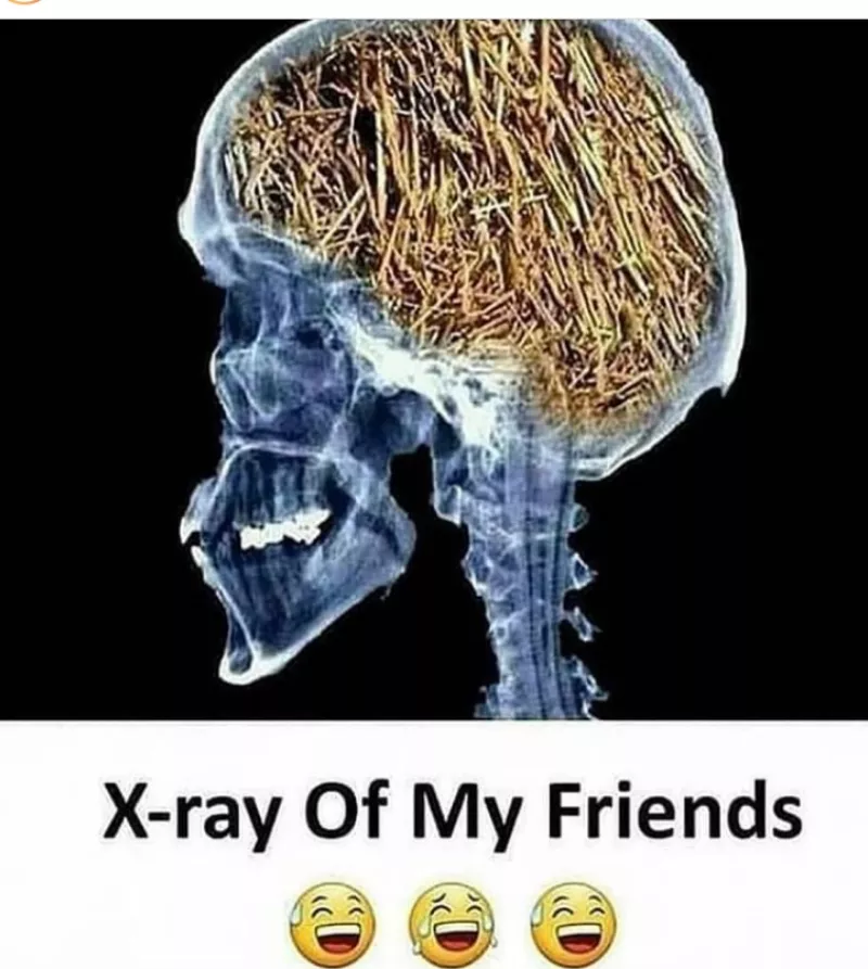 My senseless friends