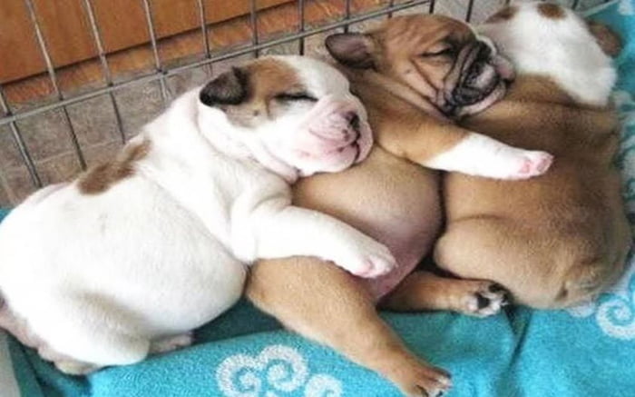 Nap time