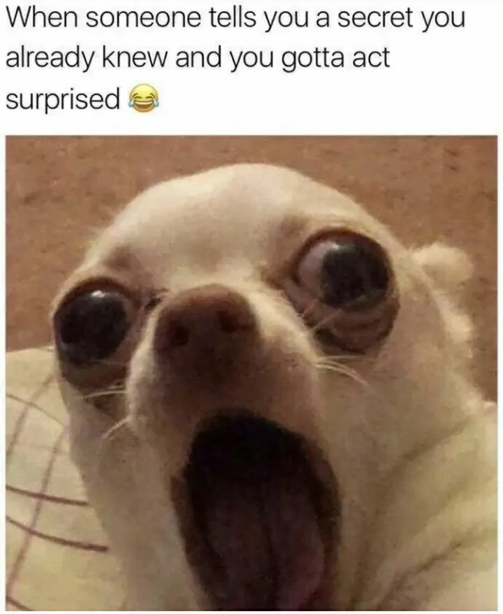 Nautanki memes