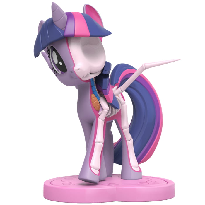 New Children Toy &quot;Anatomy Ponies&quot;