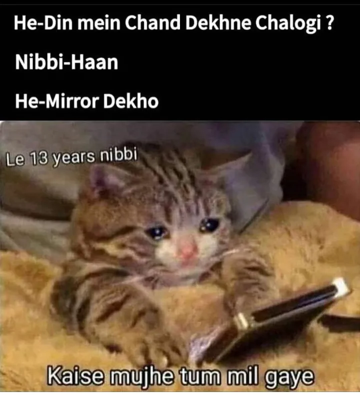 Nibba nibbi