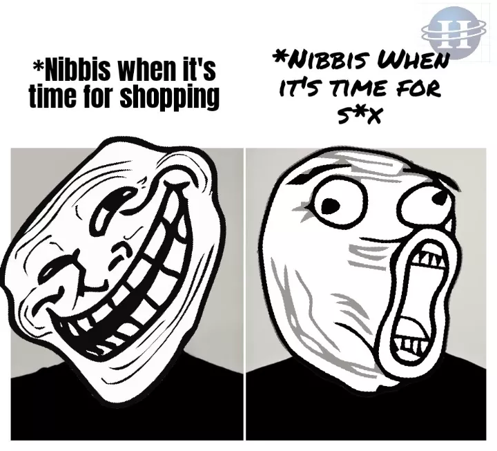 Nibbi is clever