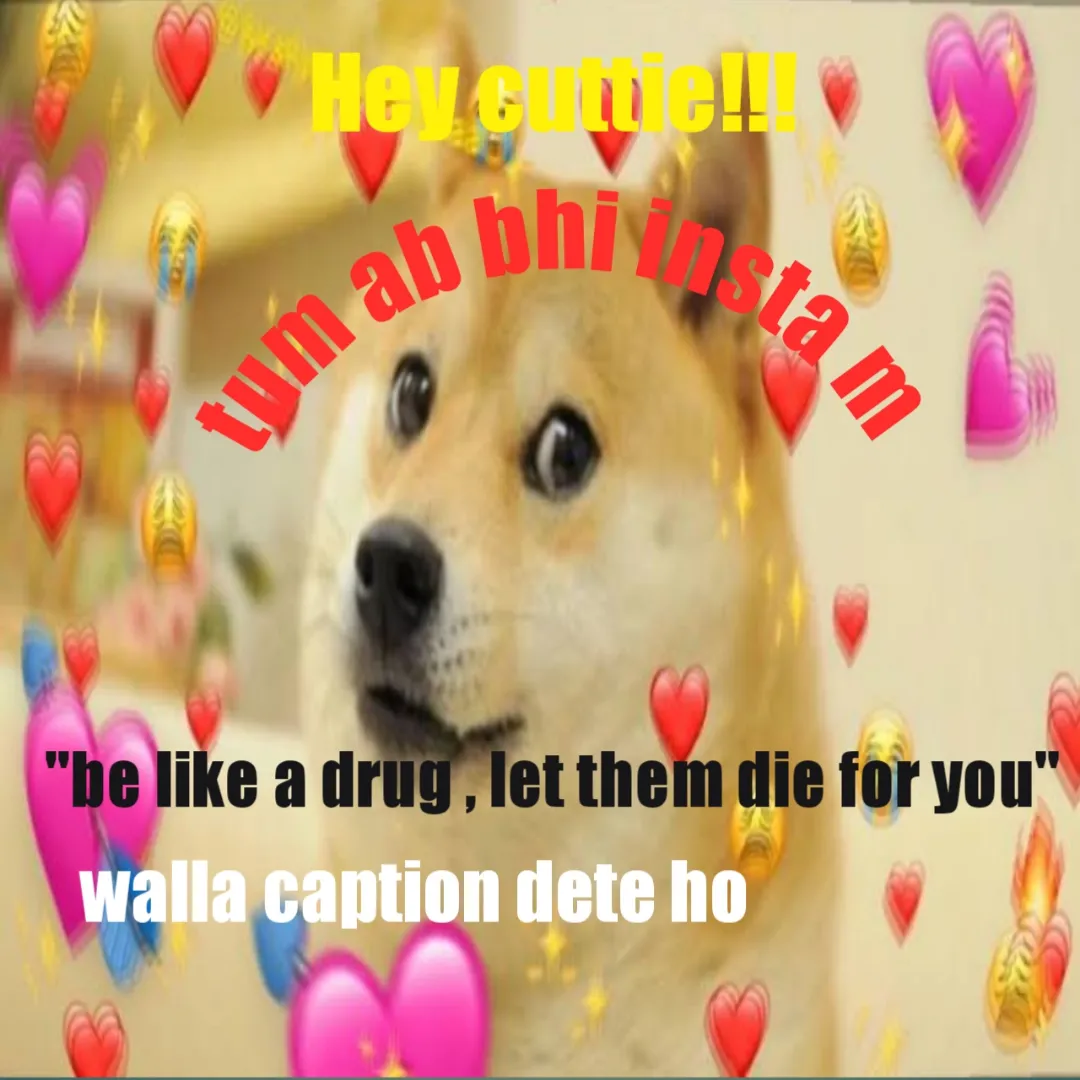 Nibi caption