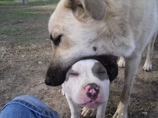 Nom !