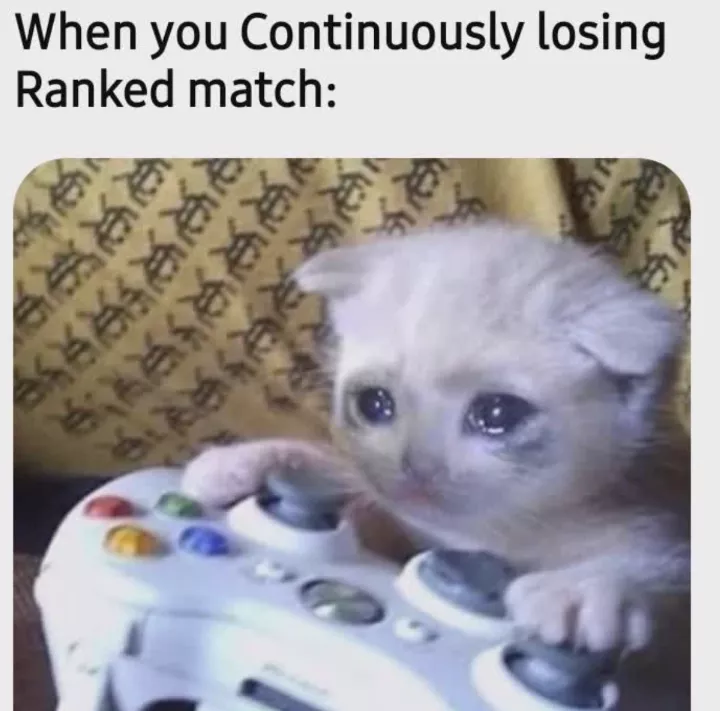 Noob