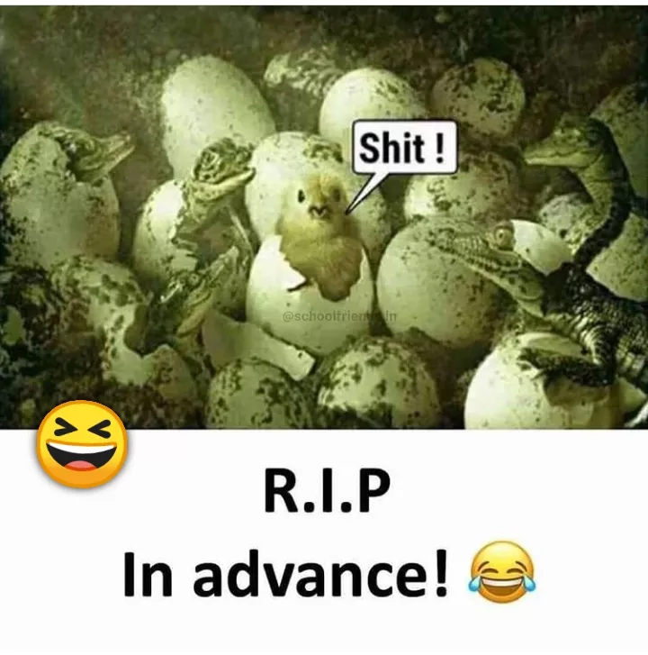 Oh no no no
