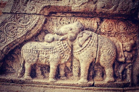 One of the world`s oldest optical illusions in art! An elephant and a bull sharing a common head. This 900 year old exquisite Bas-relief is part of the &#039;Airavatesvara Temple&#039; in India and is a shining example of the Chola architecture.