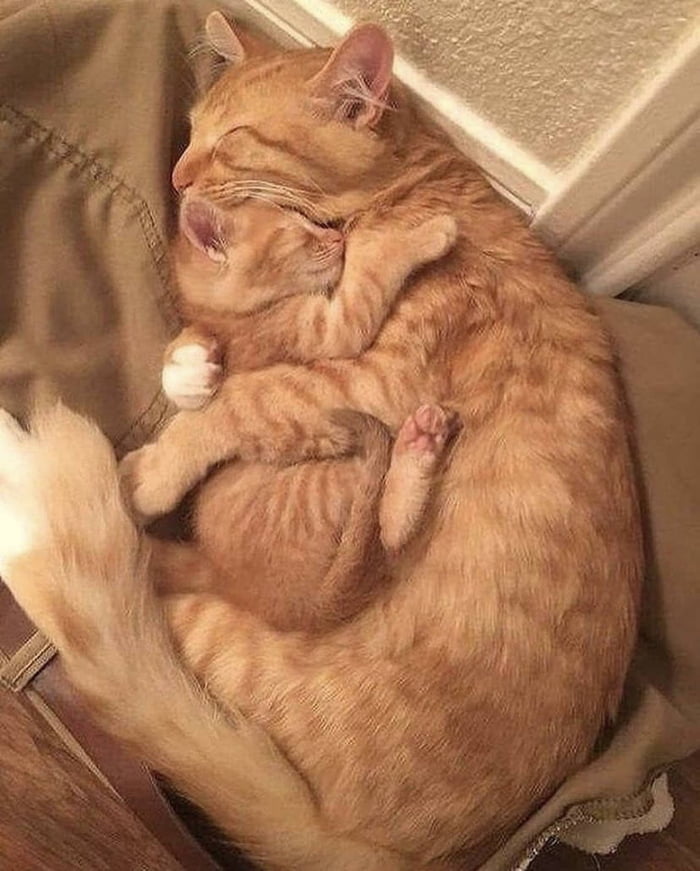 Parental bonds