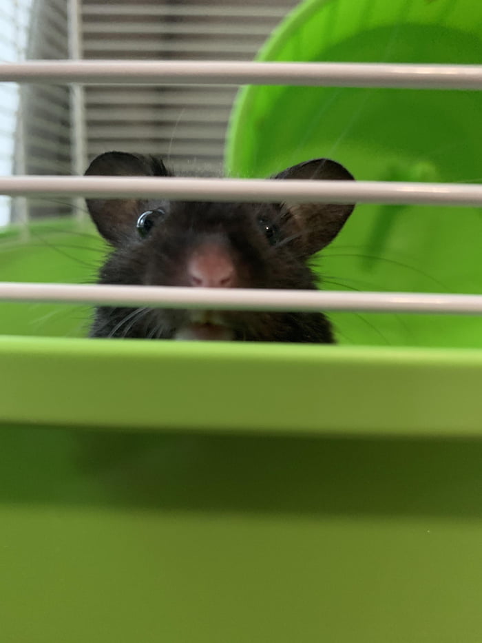 Patrick says hi
