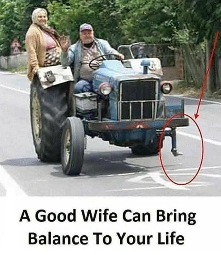 Perfect life partner