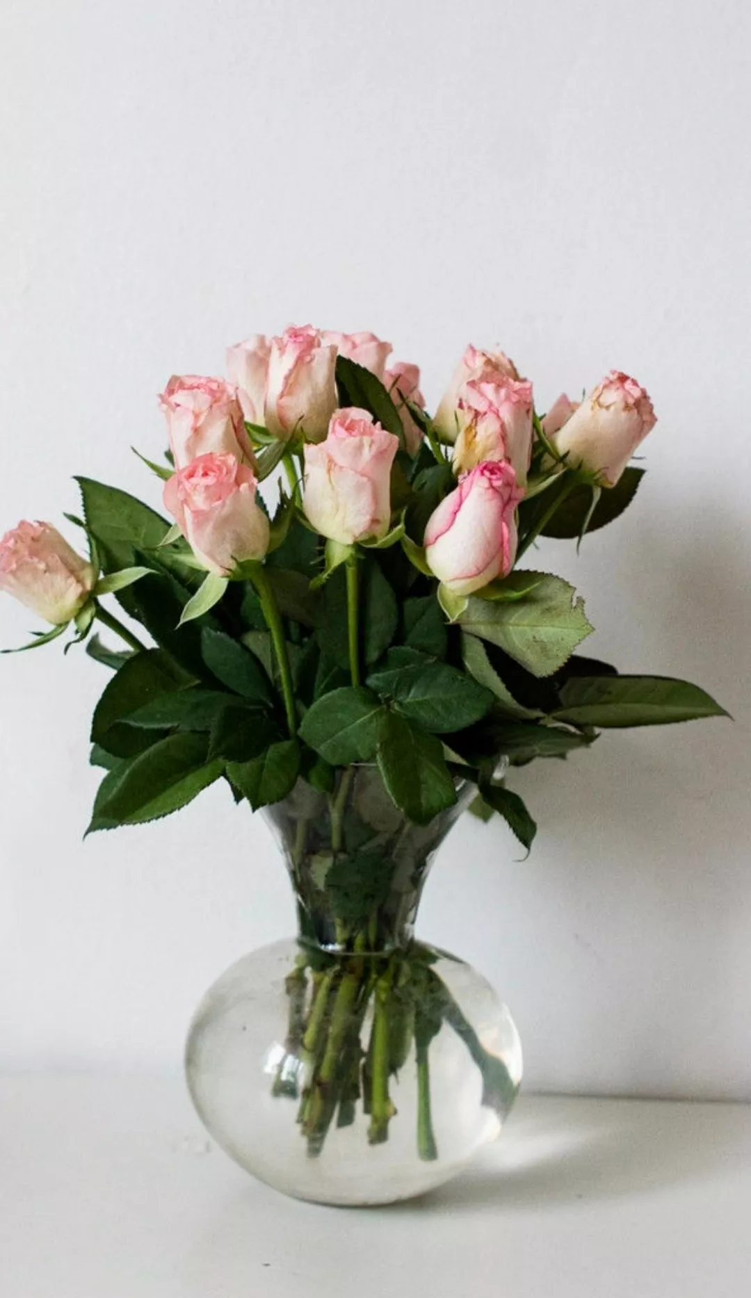 Phool