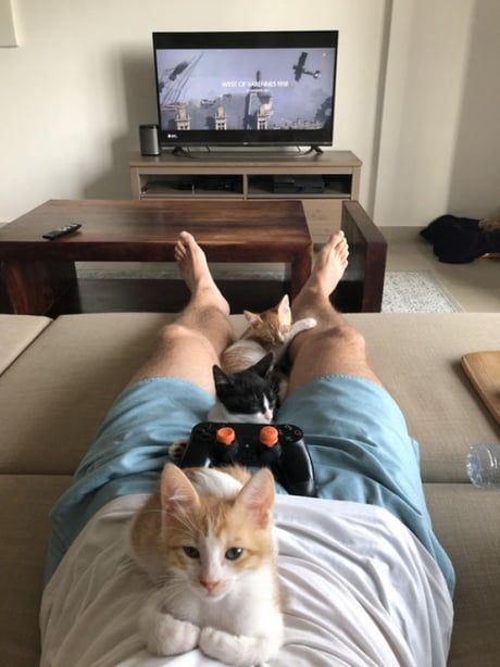 Plans for today have been cancelled.