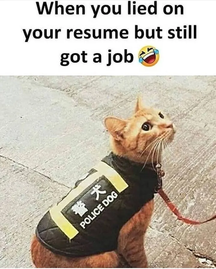 Police dog....