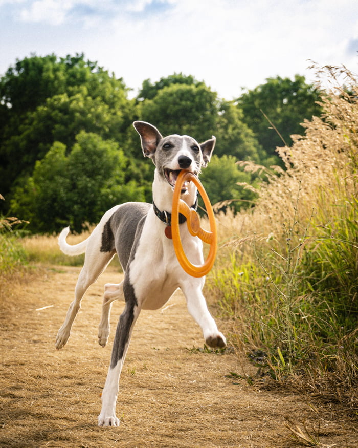 Prance like no one&#039;s watching