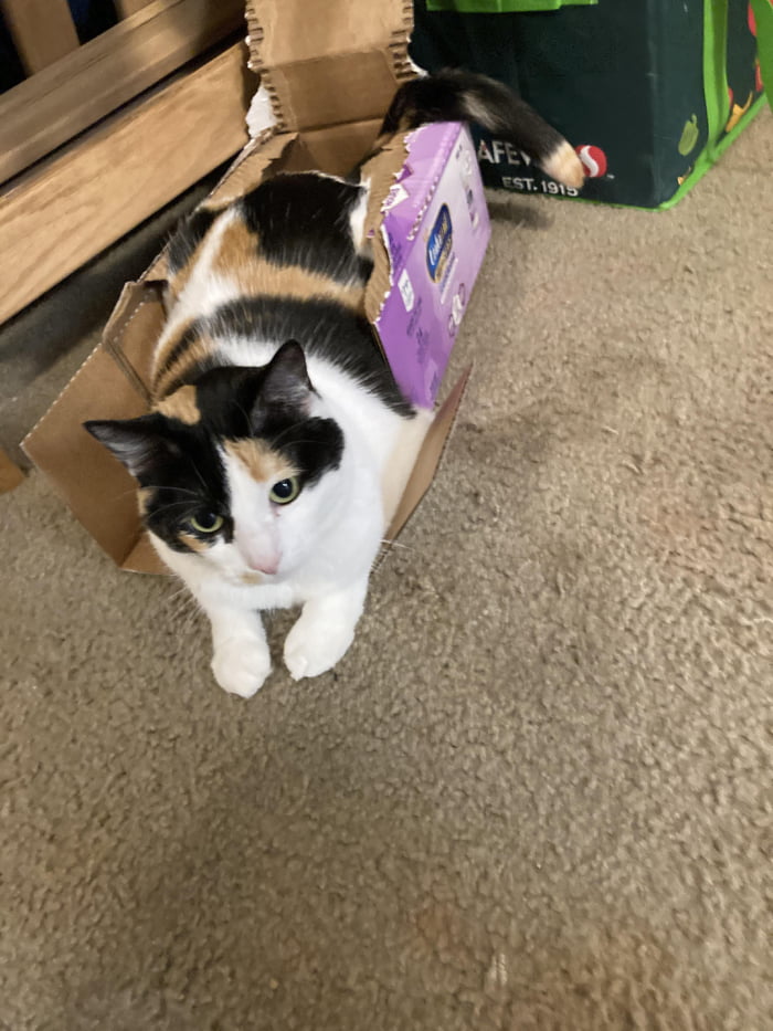 Pretty girl doing a derp