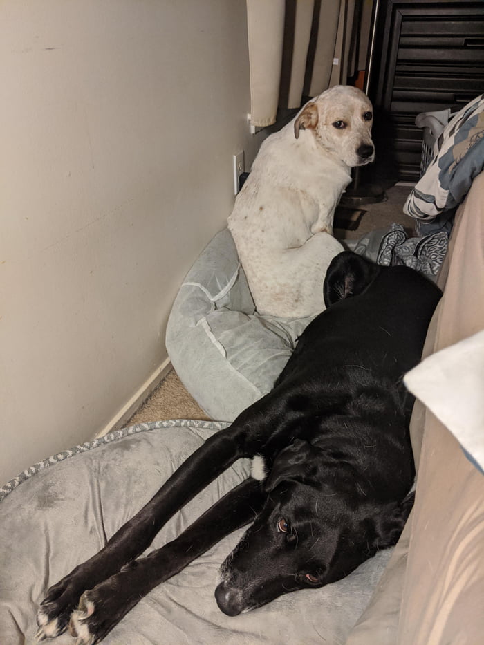 &quot;Mom, tell him to share&quot;