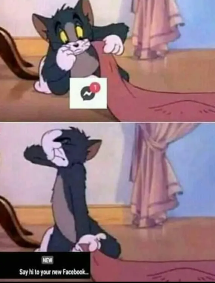 Roj ka he bc