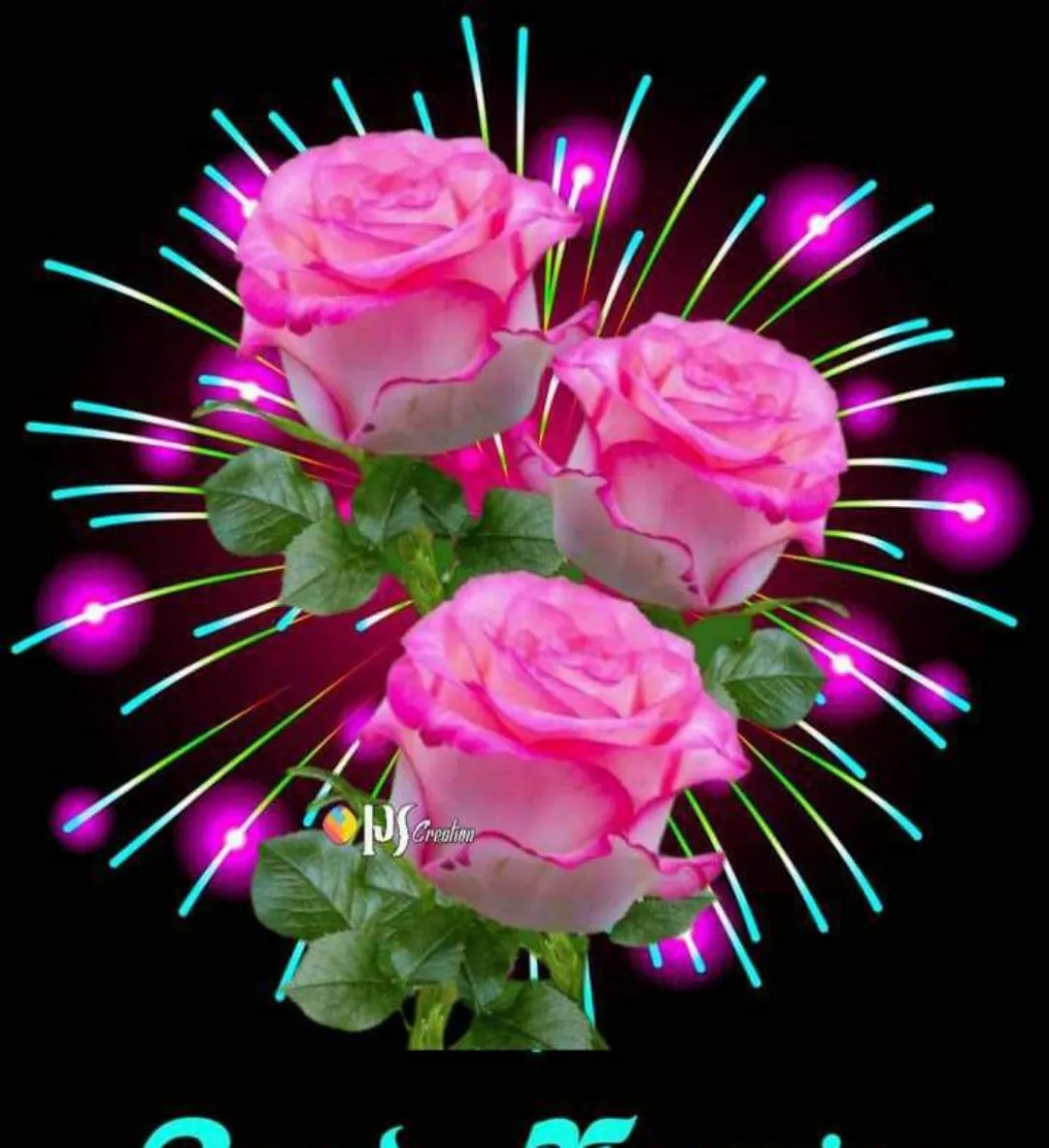 Roses so sweet