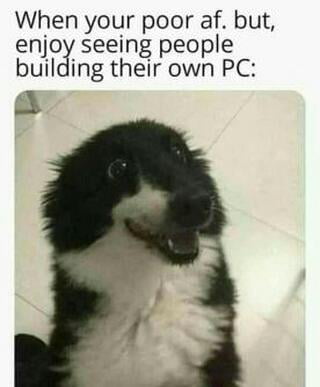 Ryzen 3950X + RTX2080Ti = Sad Life
