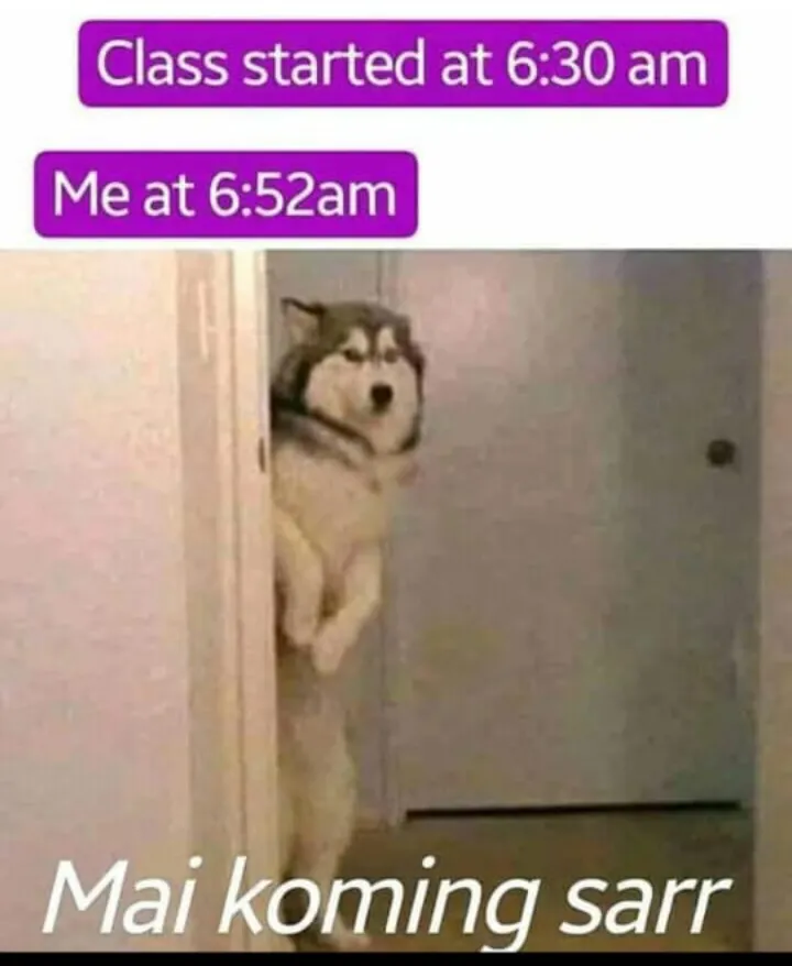 Same 🤣🤣🤣🤣🤣