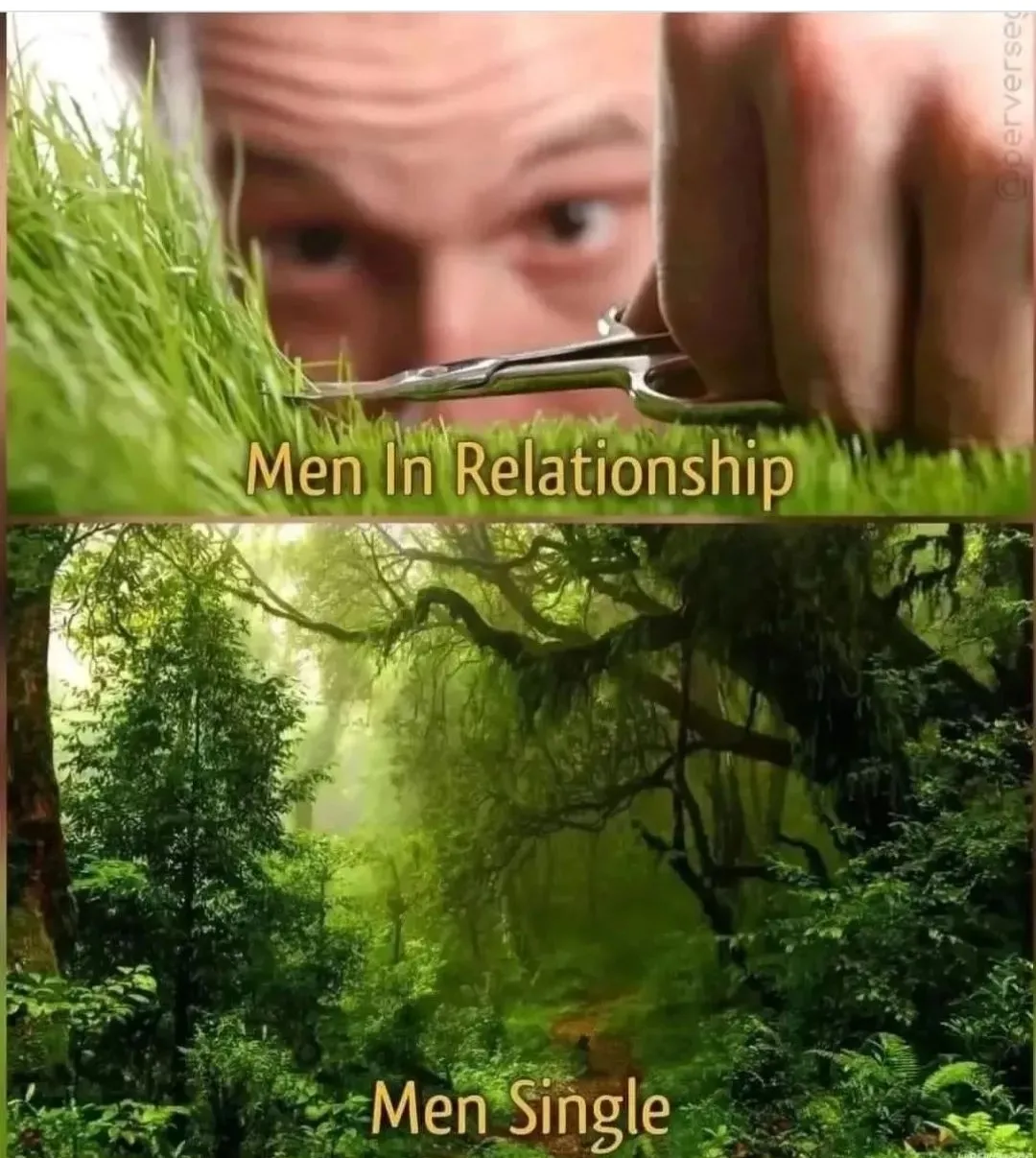 Samje m aaya