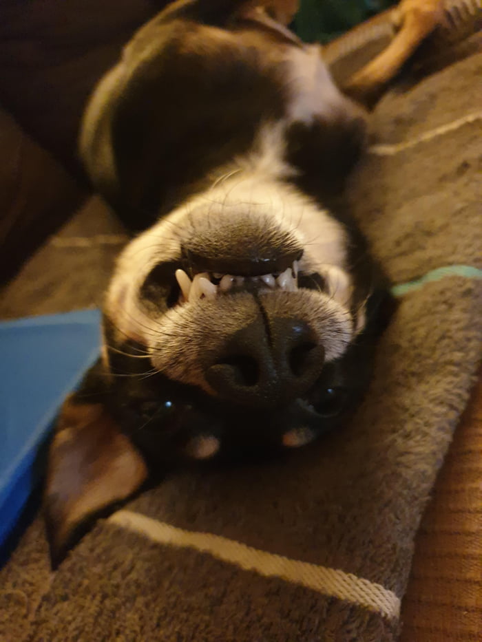 Say Cheeeese!