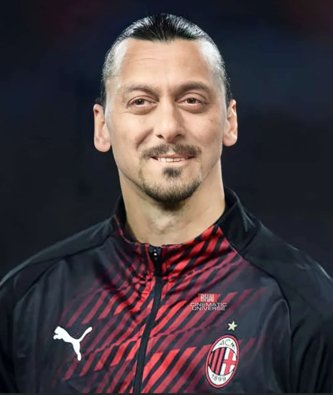 Selmon ibrahimovich