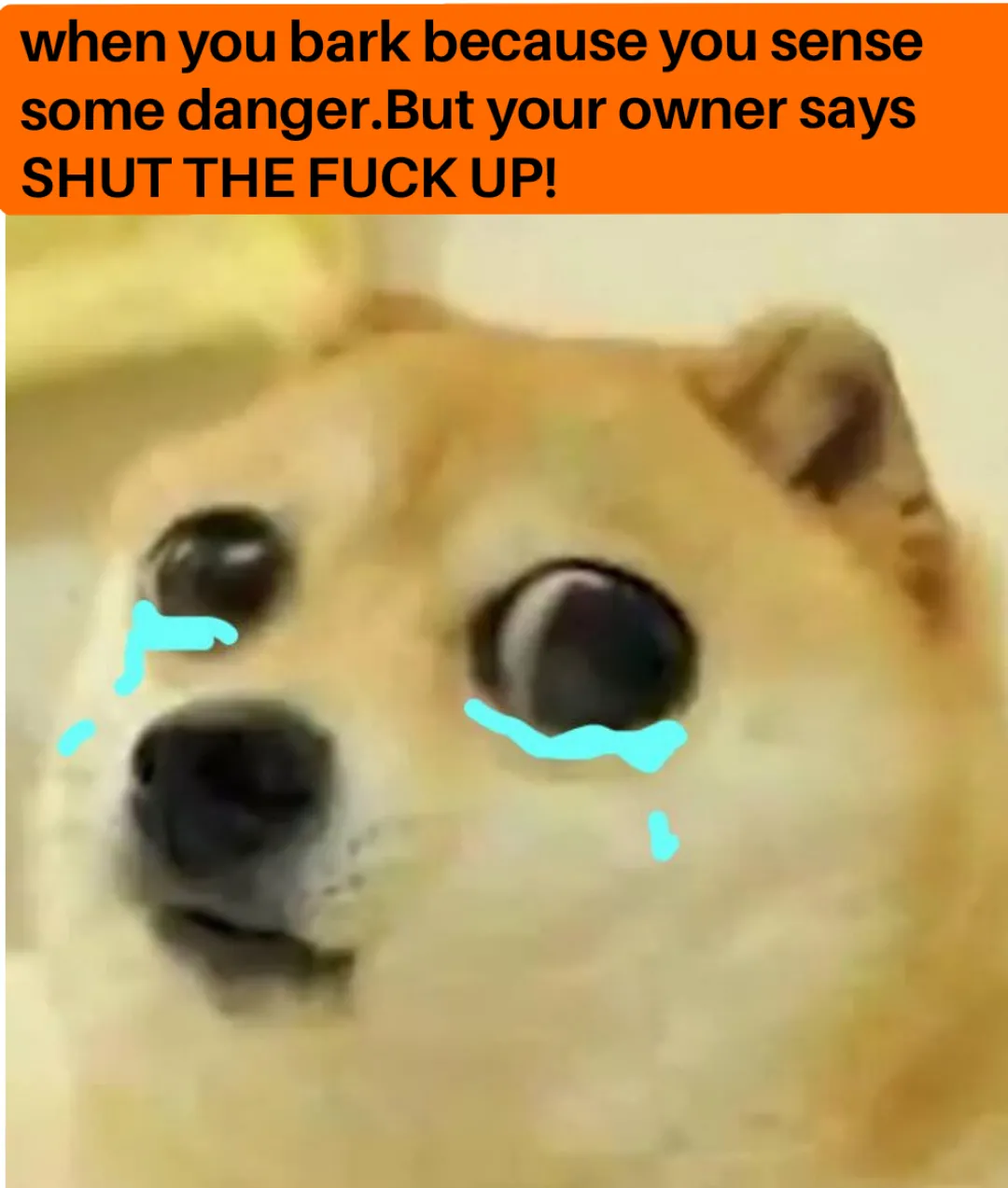 Shut Up Please Memes Shut Up Please Meme Templates Shut Up Please Reaction Memes Memeadda