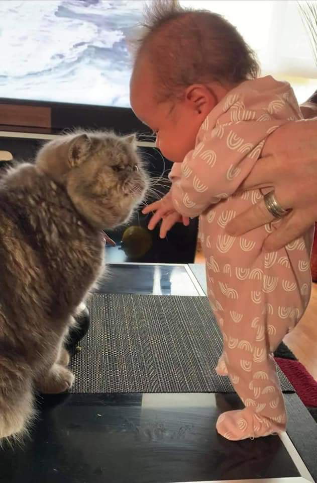 Siblings