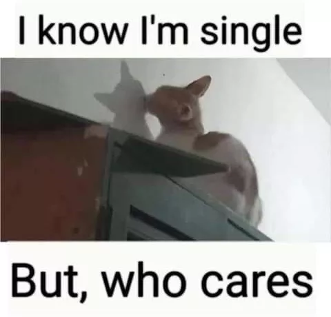 Single launde