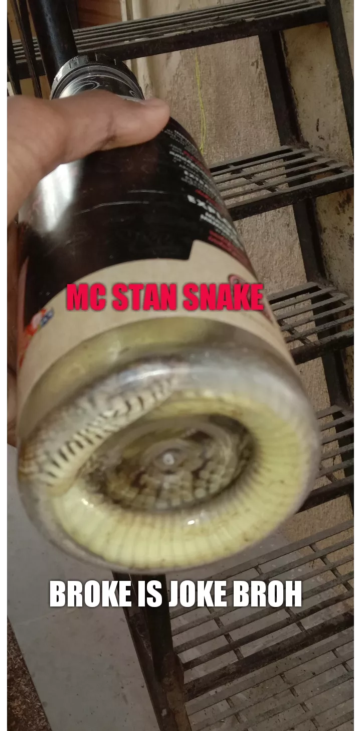 Snake is not fake bro