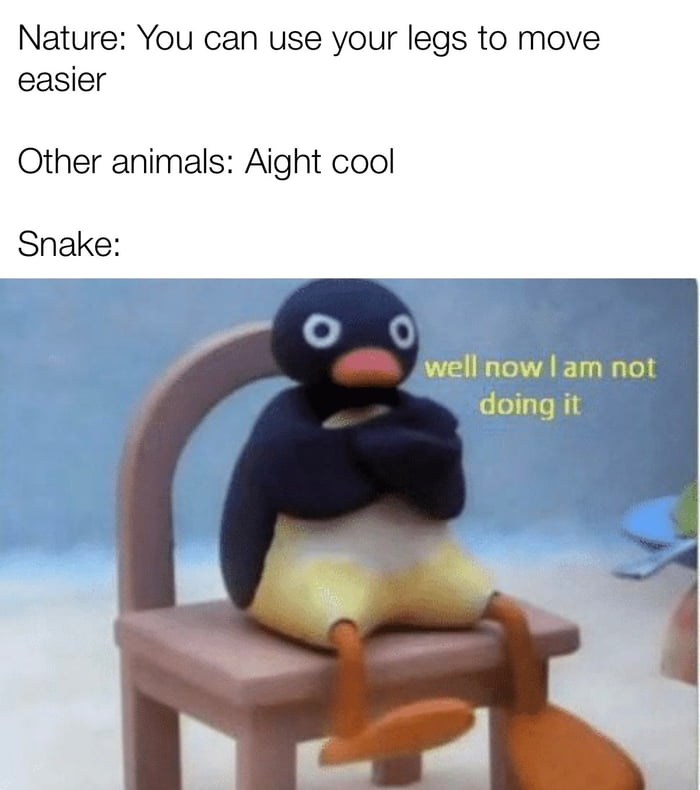 Snakes