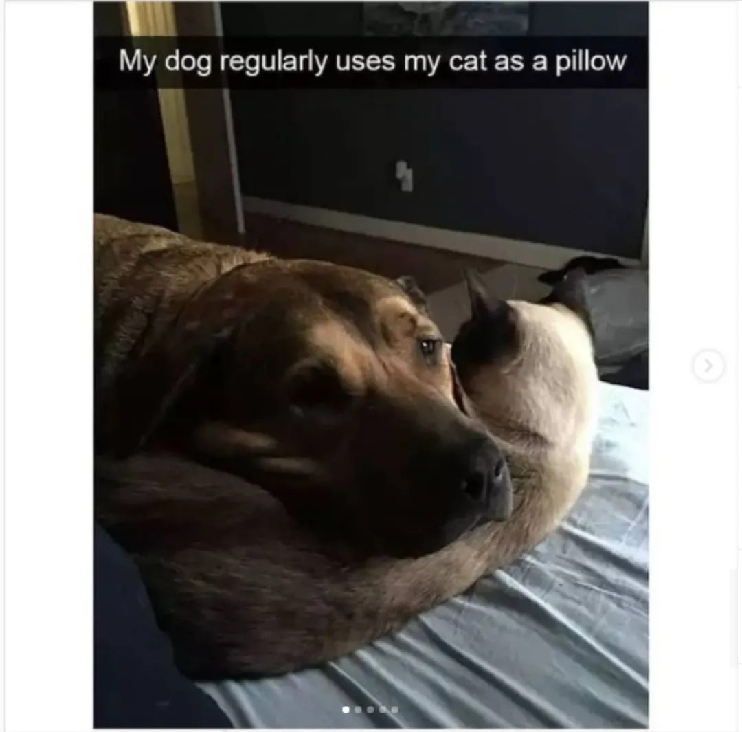 Soft cushion to be precise