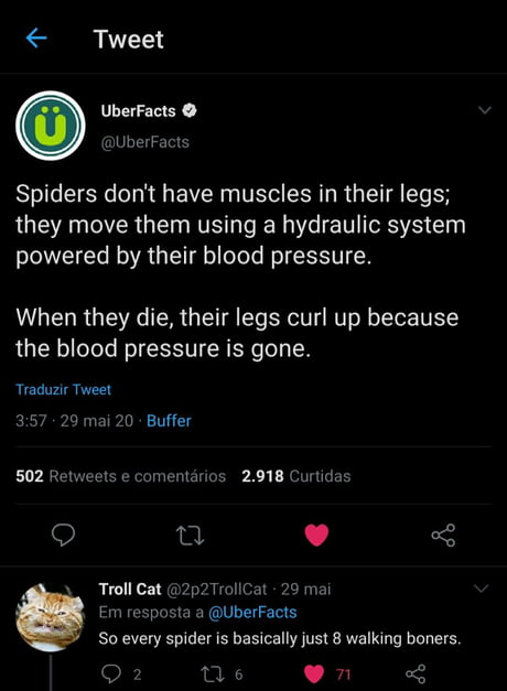 Spider boner