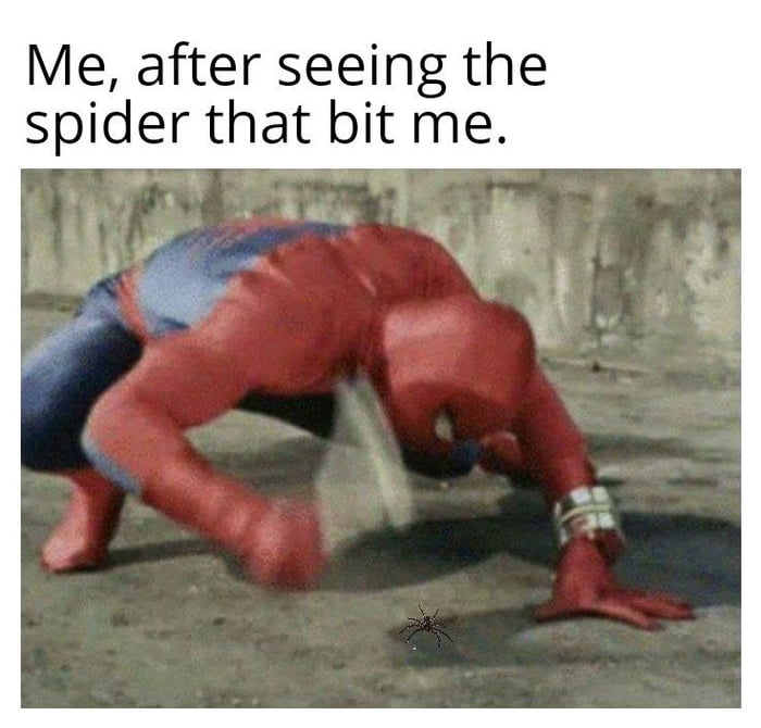 Spider-Man Strikes Back