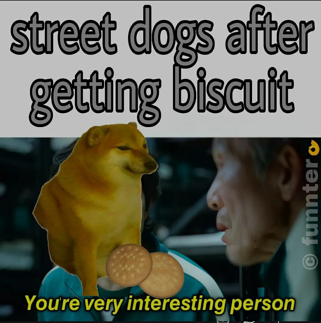 Street Dogs