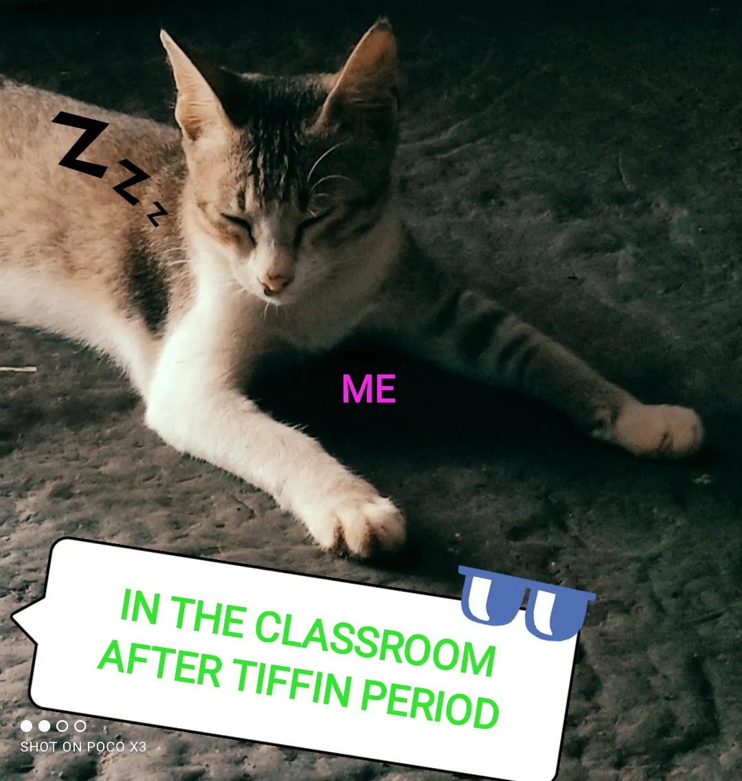 Student's story
