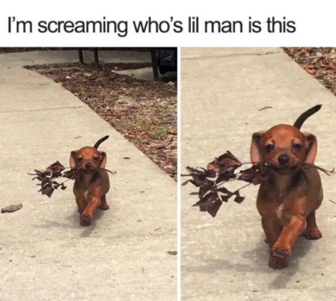 Such a gentleman