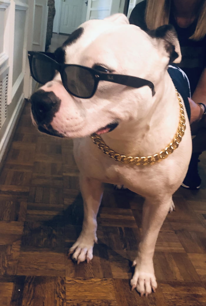 Such a stud.
