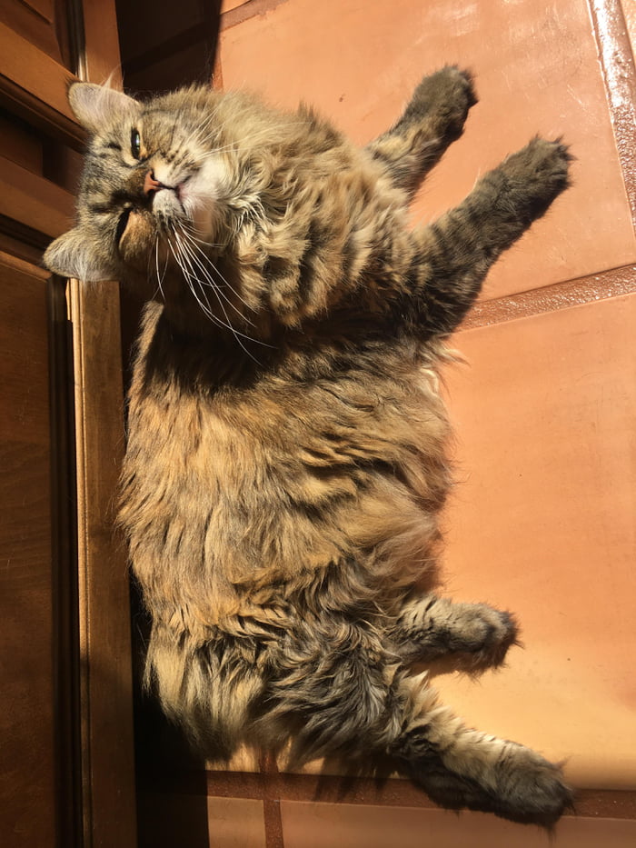 Sun-stoned. Zoom in on that face.